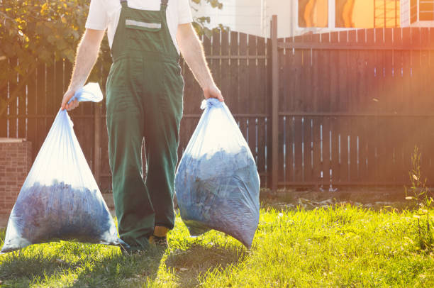Best Demolition Debris Removal  in Veedersburg, IN
